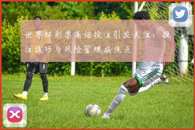 世界杯彩票高倍投注引发关注，投注技巧与风险管理成焦点