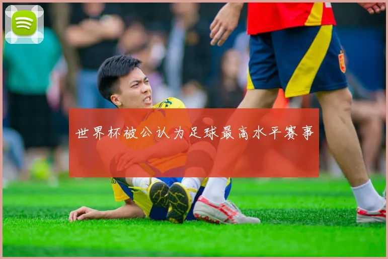 世界杯被公认为足球最高水平赛事